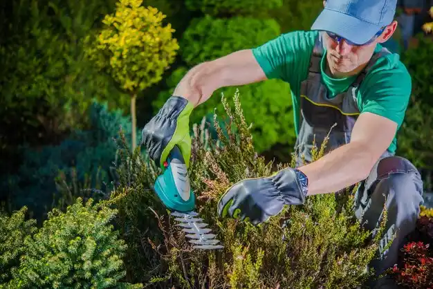 landscaping services Ridge
